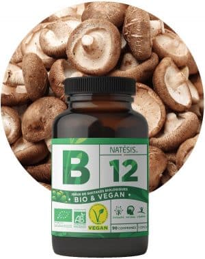 complement alimentaire B12